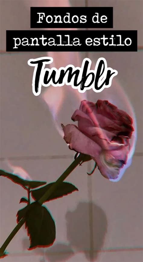 Fondos De Pantalla Para Ser Toda Una Chica Tumblr Artofit