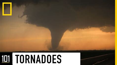 Cómo se forman los TORNADOS Qué los hace crecer National