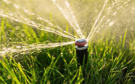 Winterizing Irrigation Systems For Winter MetroGreenscape