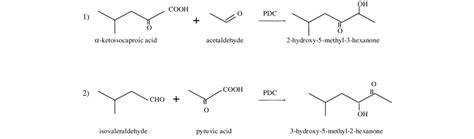 Enzymatic Formation Of 1 2 Hydroxy 5 Methyl 3 Hexanone And 2