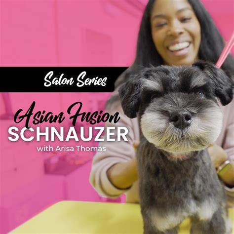 Salon Series Asian Fusion Schnauzer Groom Haüs