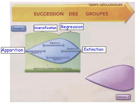 Evolution Des Organismes Mon Cours De Svt