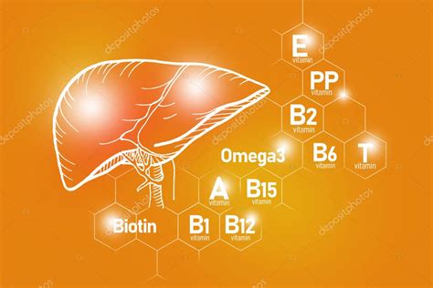 Nutrientes Esenciales Para La Salud Hep Tica Incluyendo Omega