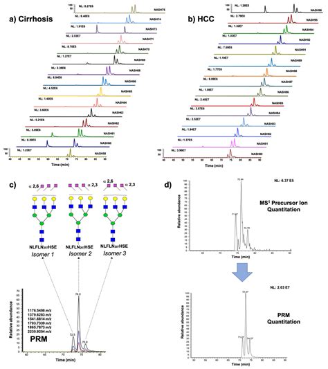 Metabolites Free Full Text Prm Ms Quantitative Analysis Of Isomeric N Glycopeptides Derived