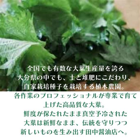 ジェノベーゼ風大葉ソース 90g どんな料理にも合う 中醤油店 植木農園 大葉 大葉ソース 国産 Ooba90長湯ホットタブ公式 通販