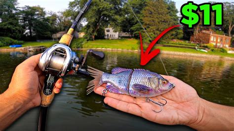 CHEAP BLUEGILL GLIDE BAIT FROM AMAZON IS IT ANY GOOD YouTube