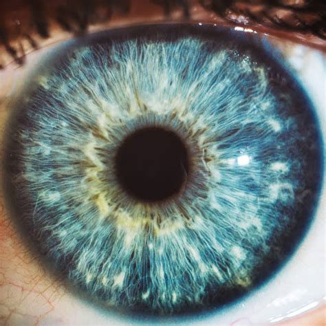 Human Eye Close Up