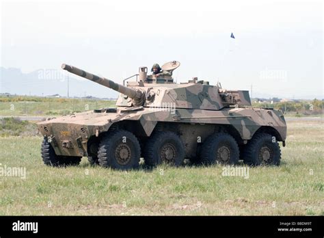 Caracal caracal fighting hi-res stock photography and images - Alamy