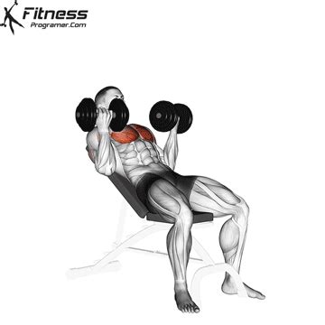 Reverse Grip Incline Dumbbell Press | Chest workouts, Best chest ...