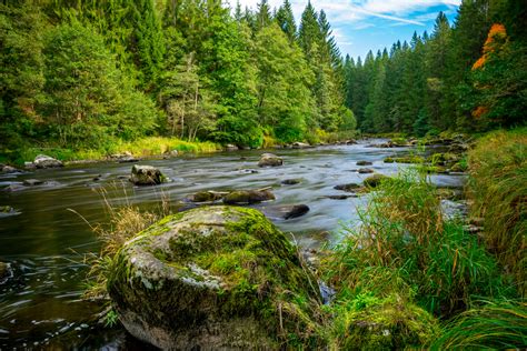 Bavarian Forest National Park (Official GANP Park Page)