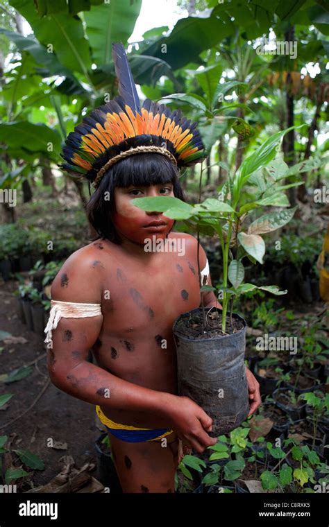 Xingu Indians In The Amazone Brazil Stock Photo Alamy