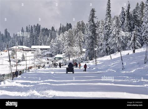 Indian Tourists Enjoy Sledge Ride At Snow Covered Ski Resort Gulmarg