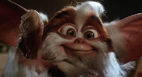 Los Gremlins Tendrán Una Precuela Animada Cine Premiere