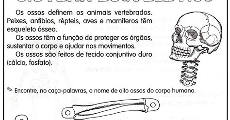 CLUBE DA COR ATIVIDADES ESCOLARES ATIVIDADES DE CIÊNCIAS SISTEMA