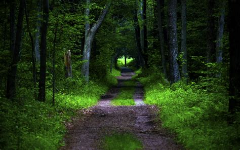 Pathway Ultra HD Wallpapers - Wallpaper Cave