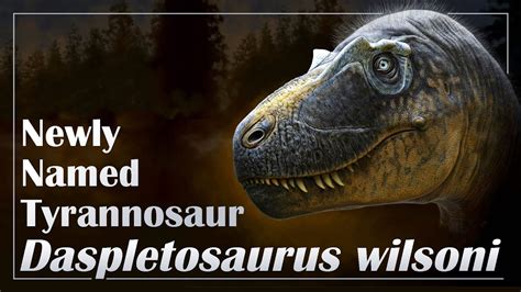 Newly Named Tyrannosaur Daspletosaurus Wilsoni Youtube