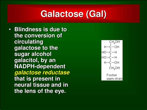 Ppt Galactose Powerpoint Presentation Free Download Id 6993463