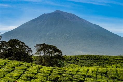 Gunung Kerinci Jadi Gunung Tertinggi Di Pulau Sumatera Dengan