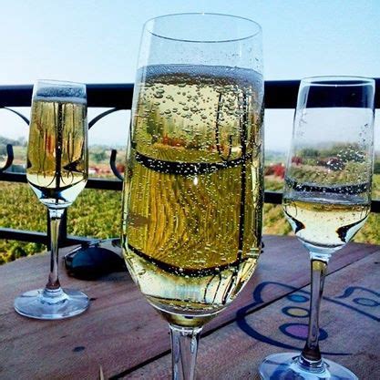 Sula Vineyards Tour: Day Trip from Mumbai ~ Wannabemaven