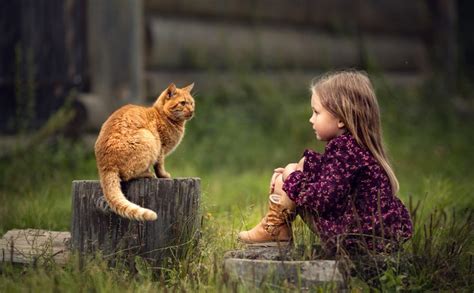 Sobras Accesible Jugar Con Que Significa Que Un Gato Llega A Tu Casa