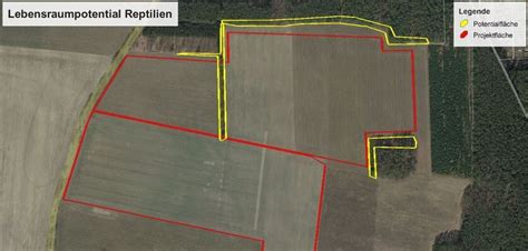 Ingenieurb Ro Prokon Solarpark Guhrow