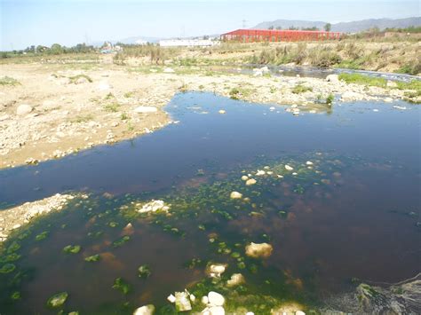 polluted surface water  state pollution control board  flickr