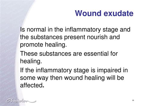 Ppt Physiology Of Wound Healing Powerpoint Presentation Free