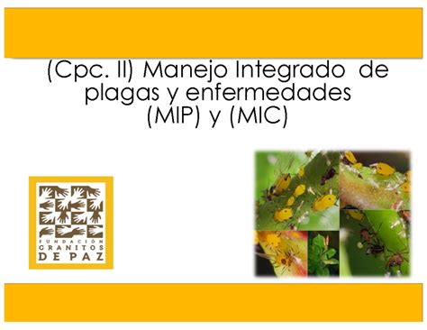 Iil Presentacion Manejo Integrado De Plagas Y Enfermedades Cpc Ii