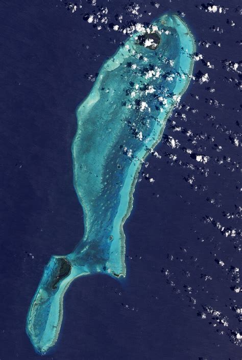 Category Lighthouse Reef Wikimedia Commons