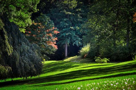 7 Taman Nasional Di Indonesia Ini Masuk Warisan UNESCO Salah Satunya