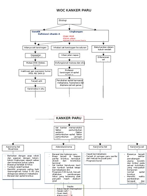 Woc Ca Paru Pdf