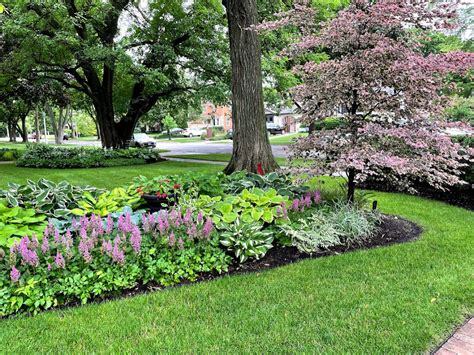 Large Suburban Front Yard Berm