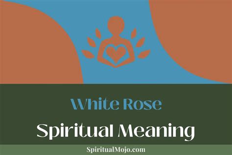 White Rose Spiritual Meaning Interpreting Heavenly Signs Spiritual Mojo