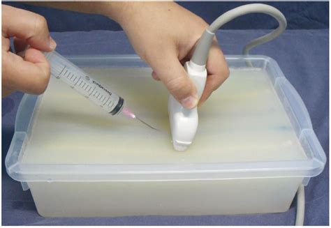 WK 1 INTRODUCTION How To Guide Biopsy With Ultrasound Simulation Based