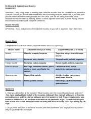 2 01 Axial Appendicular Muscles Docx 02 01 Axial Appendicular