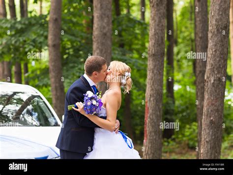 Bride Groom Kissing Under Veil Hi Res Stock Photography And Images Alamy