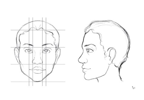 Drawing Anatomy: A Step by Step Guide | Skillshare Blog