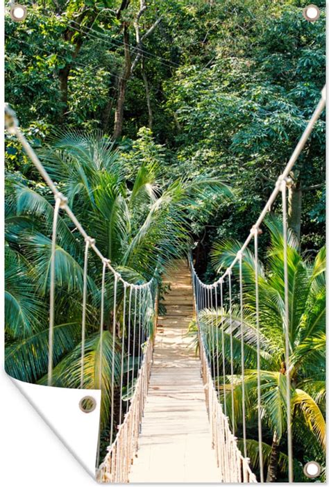 Tuindecoratie Jungle Palmboom Brug Natuur Planten X Cm