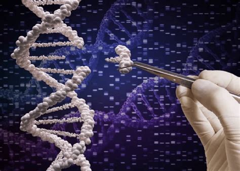 CRISPR Cas9 une nouvelle donne pour la thérapie génique