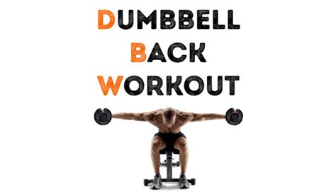 Top 5 Dumbbell Exercises For Back That Can Be Done At Home