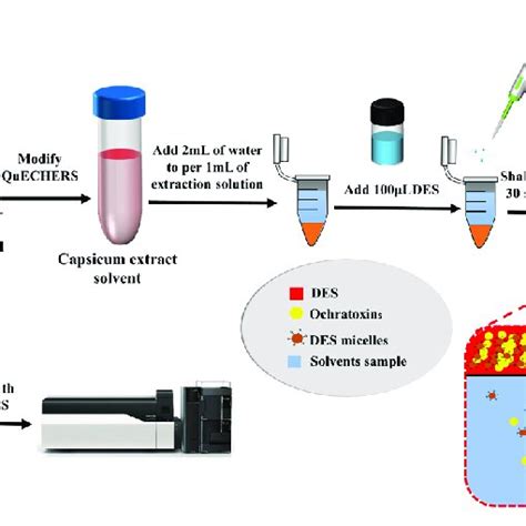 Schematic Presentation Of Dllme Procedure Using Thymol Based Des