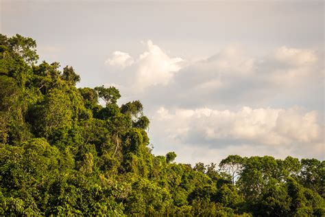 Reisebericht Guyana Tourpremiere Zoom Expeditions