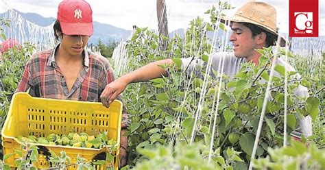 Comisión V preocupada por los pequeños y medianos productores del agro