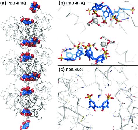 A Filament Of Lysozyme Tetramers Three Shown Mediated By Dimers Of