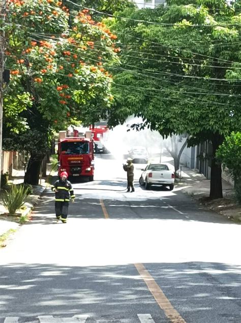 Mulher fica gravemente ferida após ataque de abelhas no bairro Serra em BH