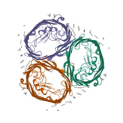 RCSB PDB 1GFM OMPF PORIN MUTANT D113G