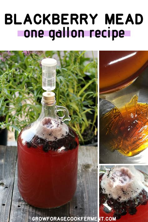 Traditional Mead Recipe 1 Gallon Taryn Dubois