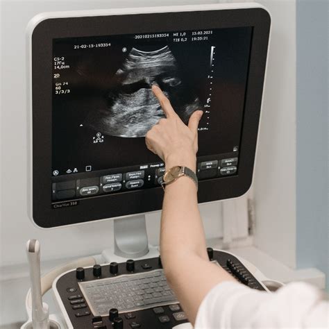 Cat Ultrasound Guided Biopsies In Atlanta Ga Cat Care