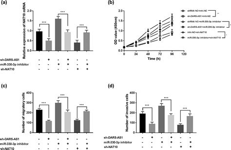 Dars As1 Modulates Cell Proliferation And Migration Of Gastric Cancer