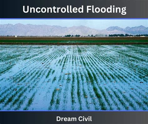 Flooding Irrigation 2 Types Of Flooding Irrigation Wild Flooding